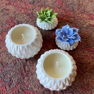 Succulent Candle Set